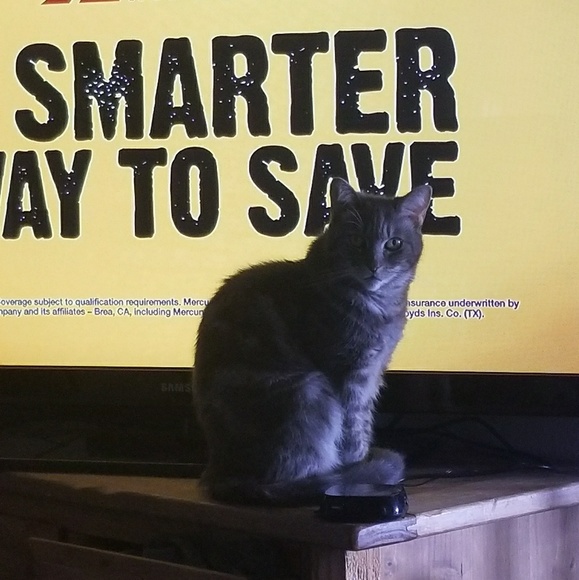 Meet your Posher, Lisa - Picture 3 of 4